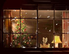 Christmas Wallpapers 259